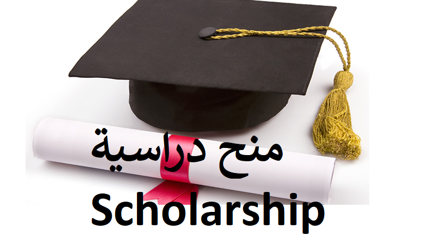 Seoul National University scholarships