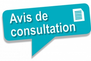 Avis de consultation N° 01/DDP/2024