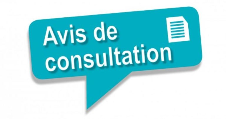Avis de consultation N° 01/DDP/2024
